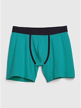 5 Boxer Briefs