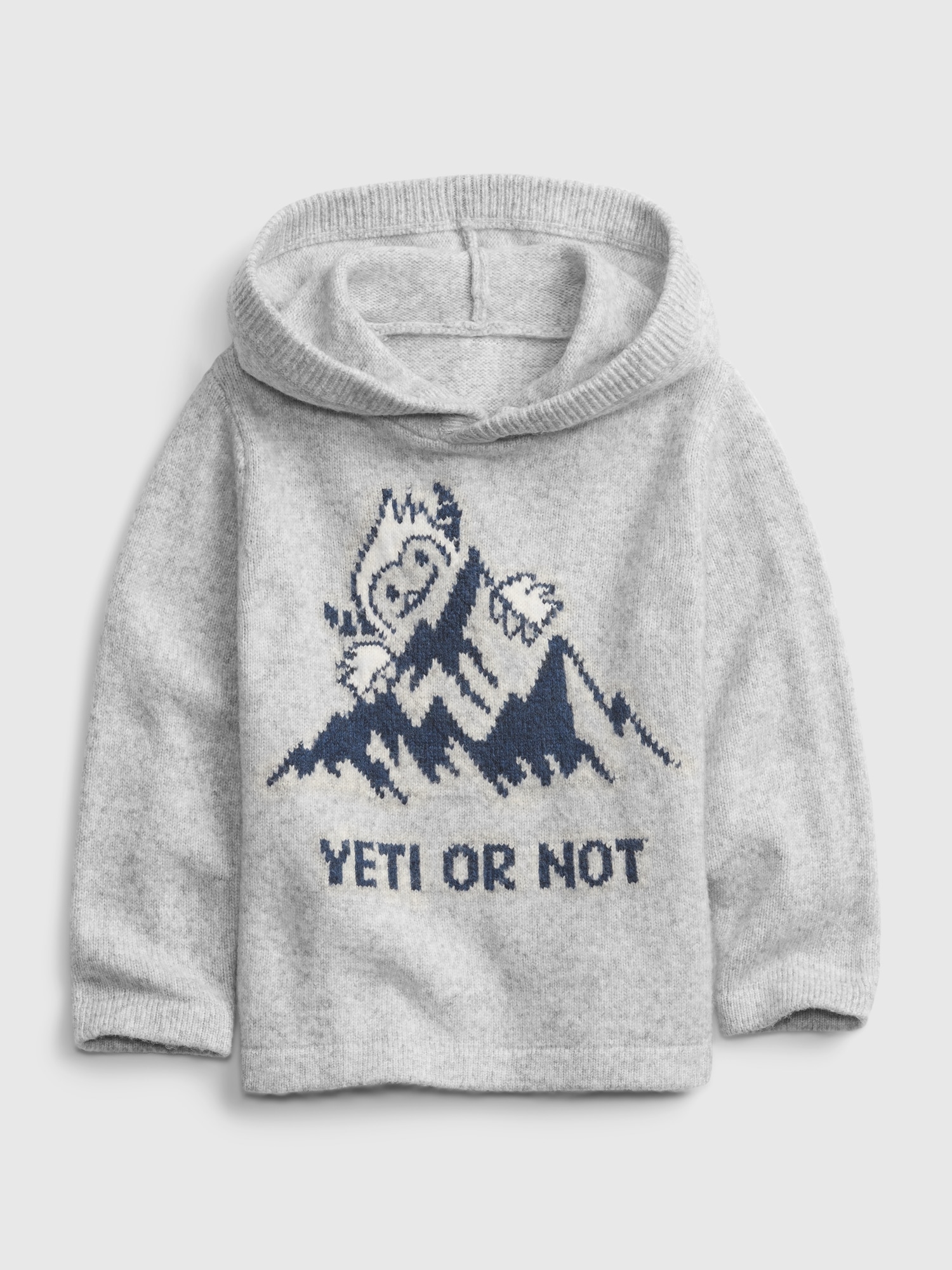 Gap shop yeti sweater