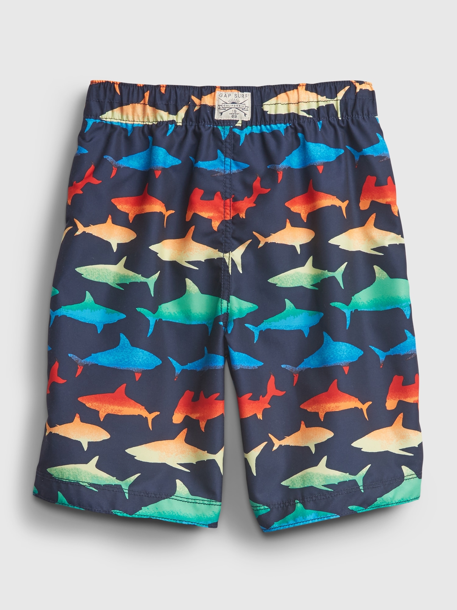 Shark 2025 board shorts