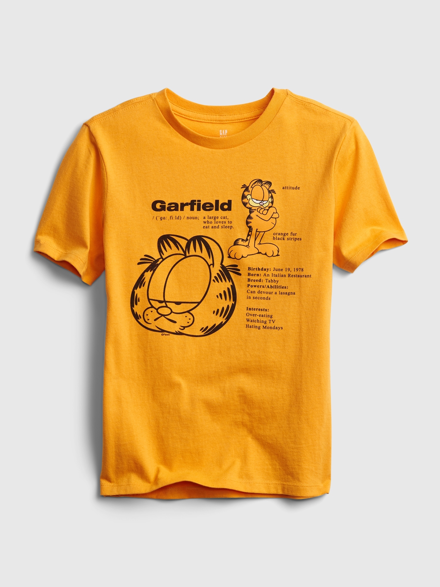  Garfield Kids T-Shirt  Boys Girls Character Skateboard Short  Sleeve Pastel Green Top - 3-4 Years: Clothing, Shoes & Jewelry
