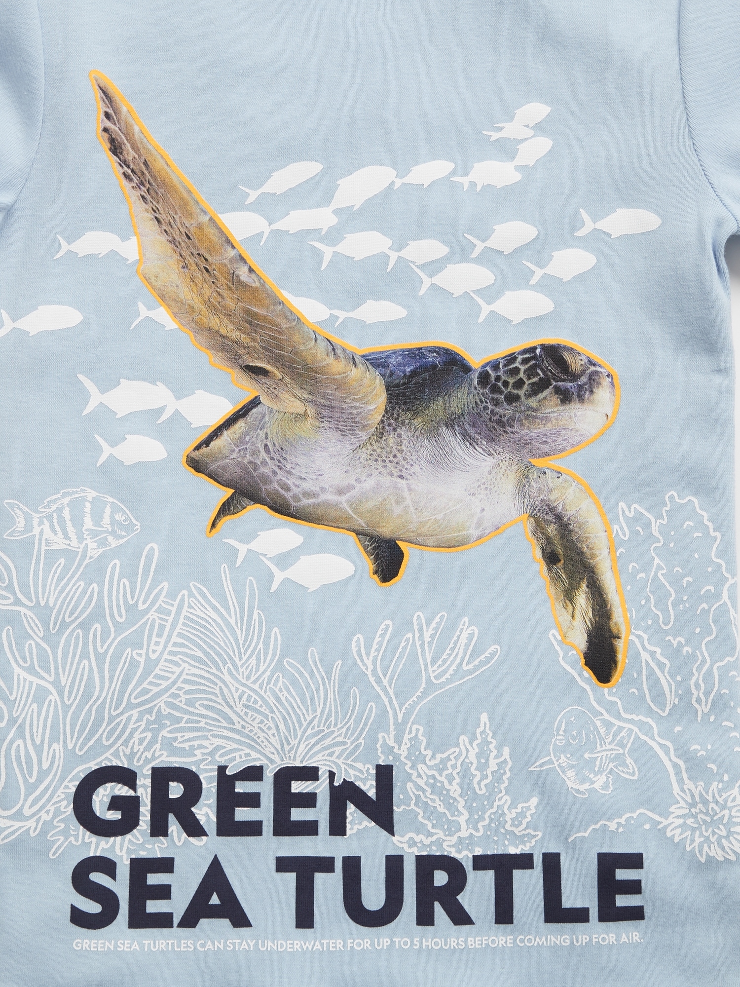 GapKids  National Geographic Sea Turtle 100% Organic Cotton PJ