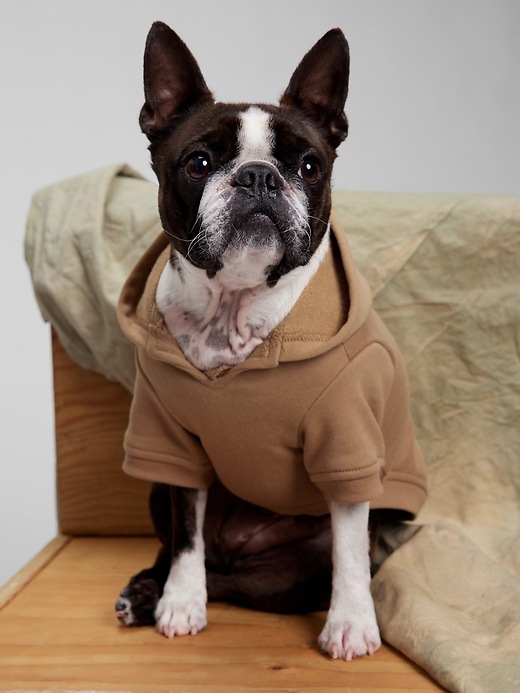 Image number 1 showing, Dog Gap Logo Hoodie