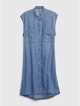 Denim Utility Sleeveless Shirtdress