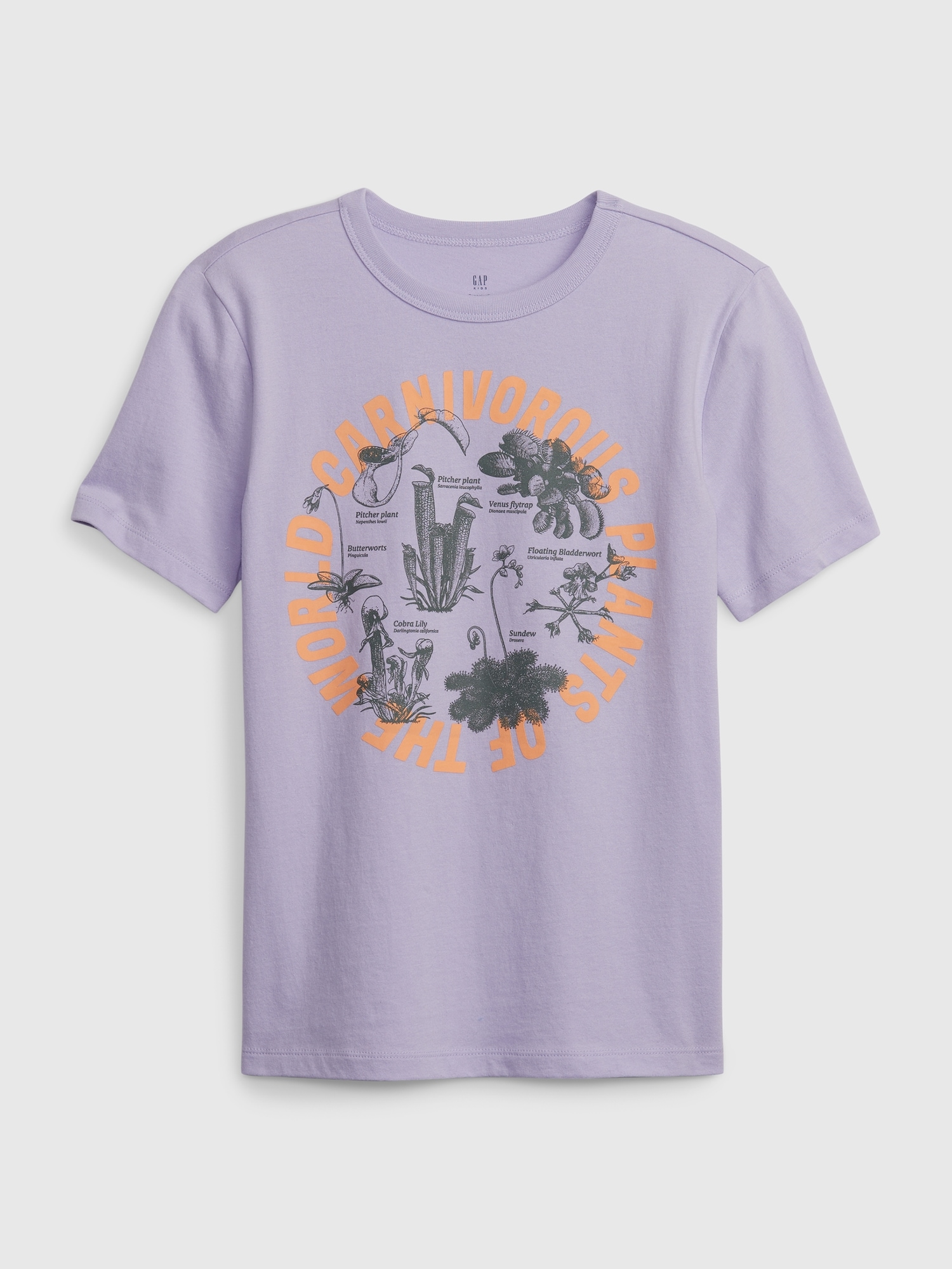 Gap Kids Organic Cotton Graphic T-Shirt purple. 1