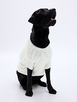 Knitted dog online sweater