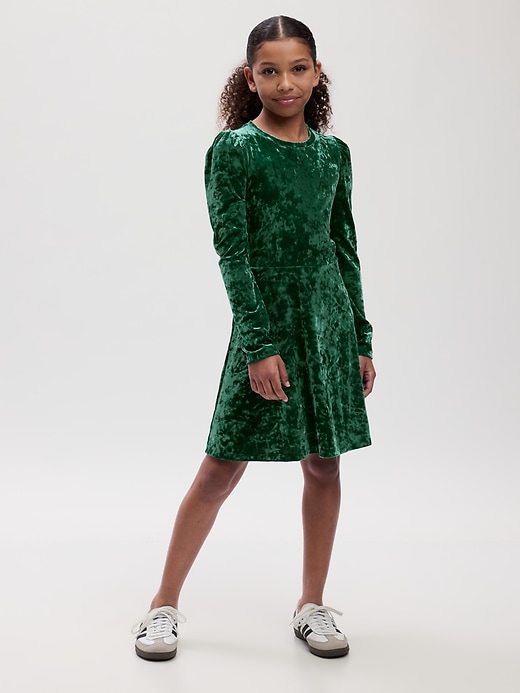 Kids Velvet Skater Dress Gap