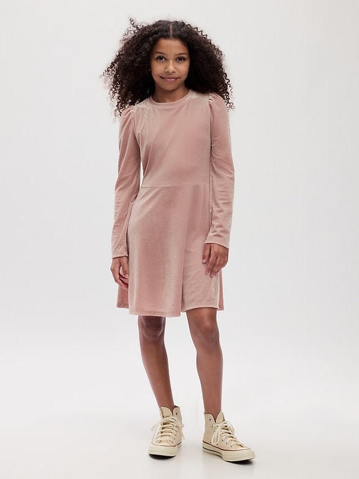 Kids Velvet Skater Dress