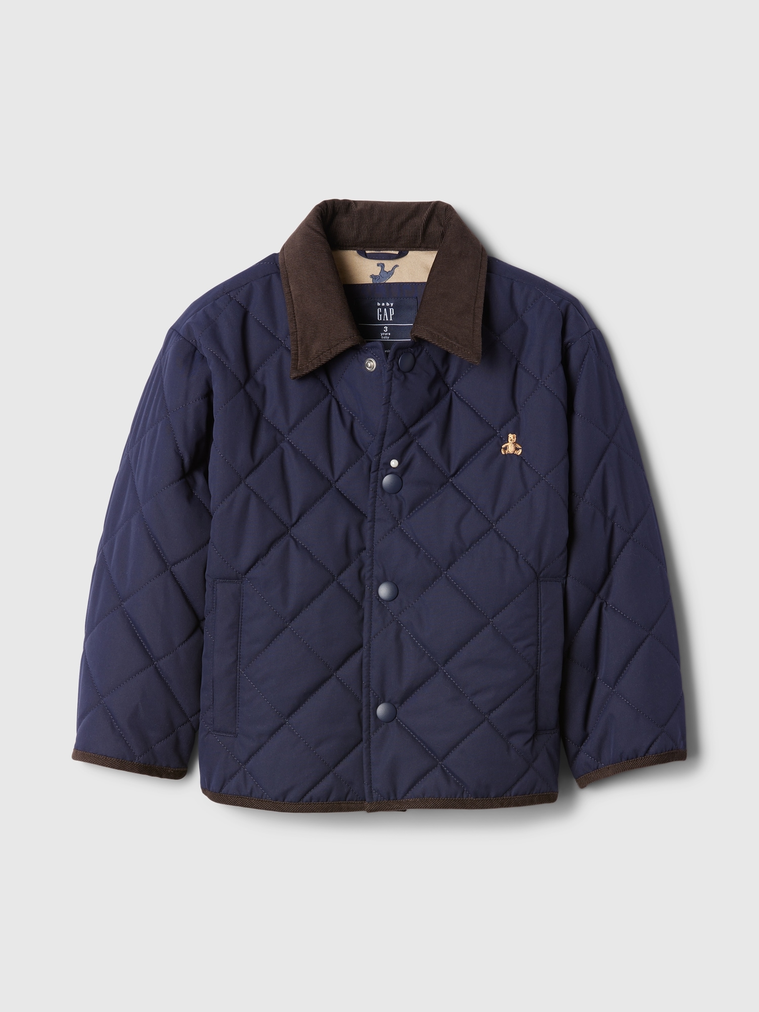 Gap canvas jacket best sale