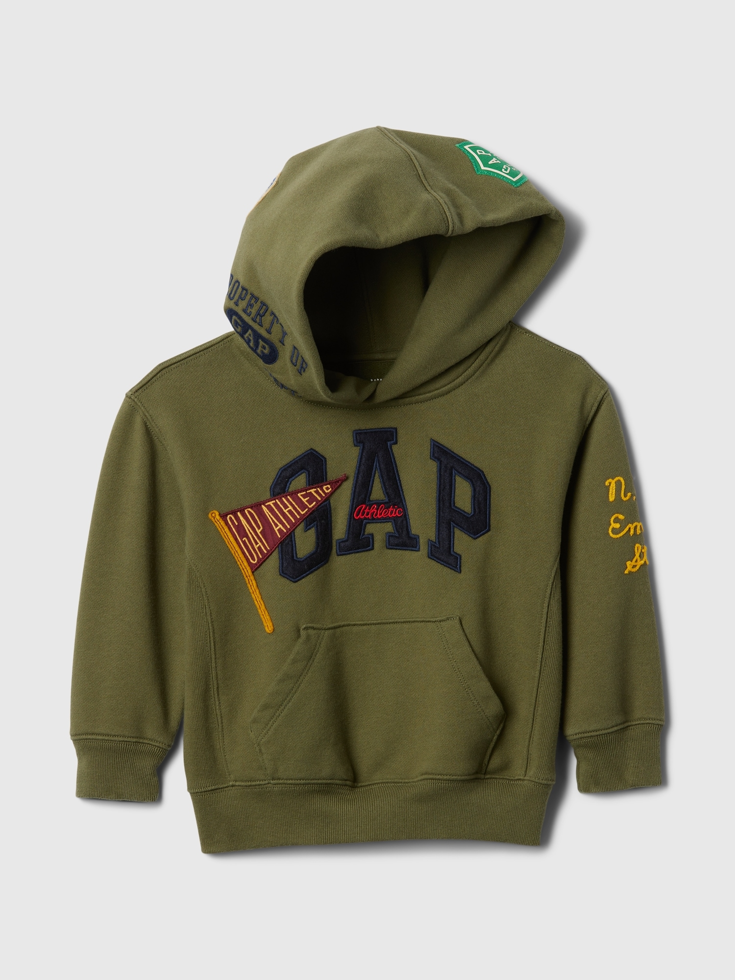 Gap baby boy hoodie best sale